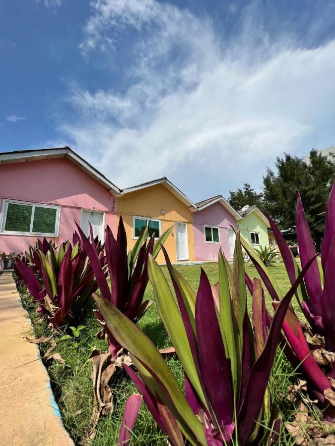 קוטונו Tahiti Hotel מראה חיצוני תמונה